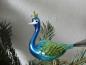 Preview: Großer Pfau, blau