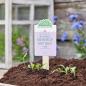 Preview: Wer anderen eine Blume sät, blüht selbst auf!