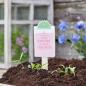 Preview: Ich will keinen Mann, ich will lieber einen Garten