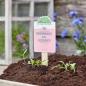 Preview: Sommerpracht statt Weltmacht