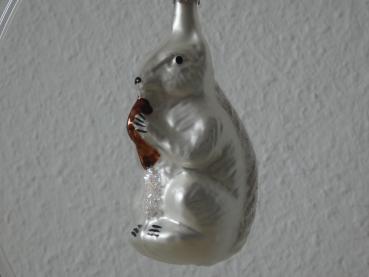 Eichhörnchen