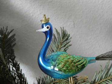 Großer Pfau, blau