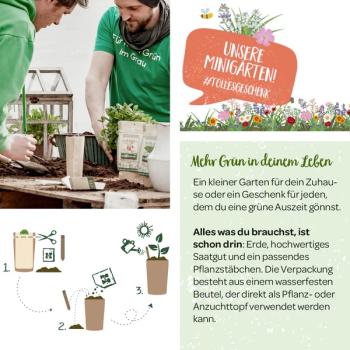 Minigarten Zitronenmelisse
