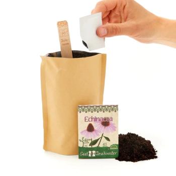 Minigarten Echinacea