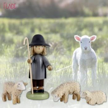 Hirte und 3 Schafe