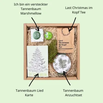 Christbaum Anzucht Geschenk