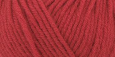 Cashmere-Trend