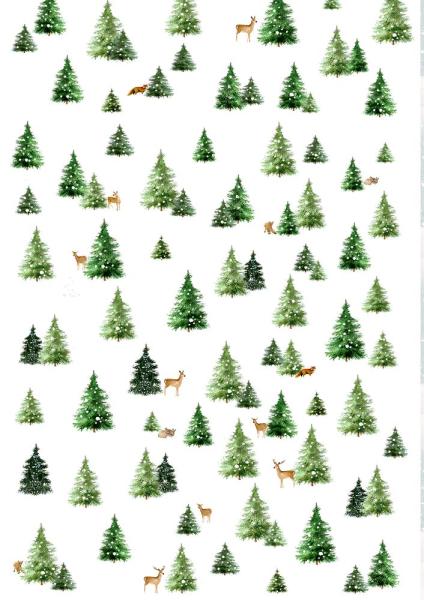 Geschenkpapier-Buch: Schöner schenken "weihnachtlich"