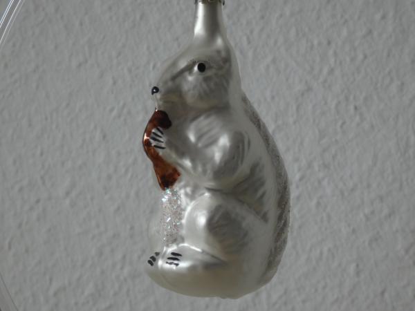 Eichhörnchen