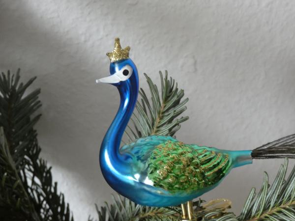 Großer Pfau, blau