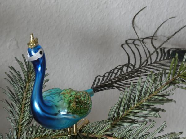 Großer Pfau, blau