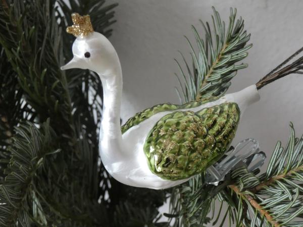 Großer Pfau, weiss