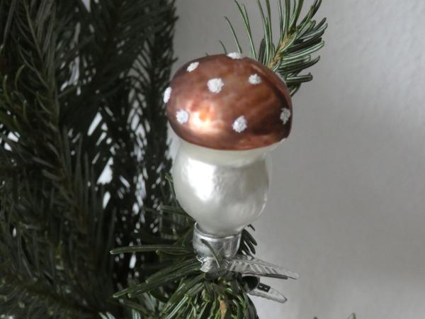 Kleiner Pilz