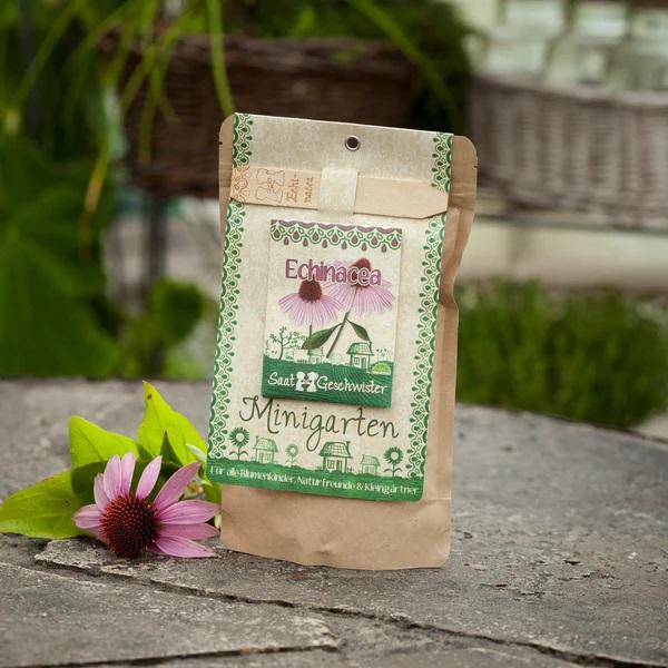 Minigarten Echinacea
