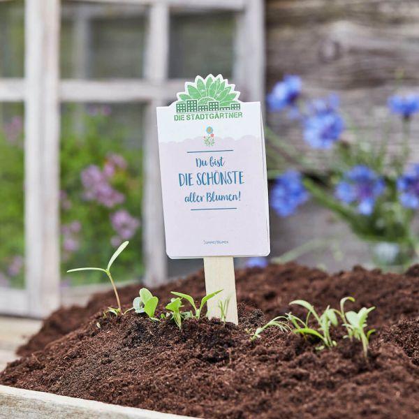 Du bist die schönste aller Blumen