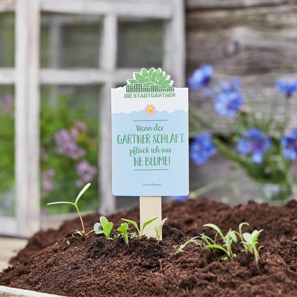 Wenn der Gärtner schläft, pflück ich mir ‘ne Blume