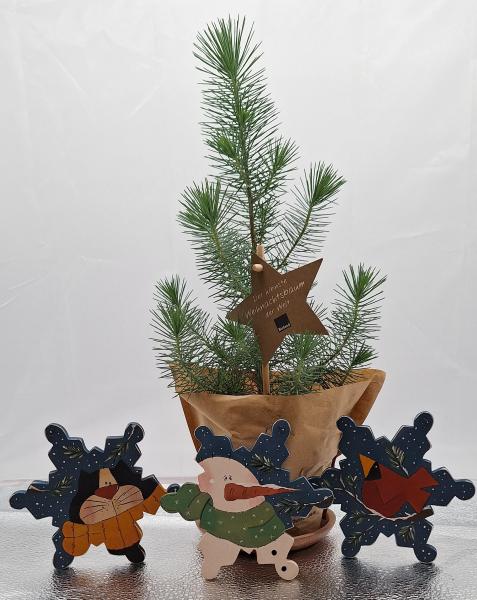 Christbaumschmuckanhänger, 3er Set
