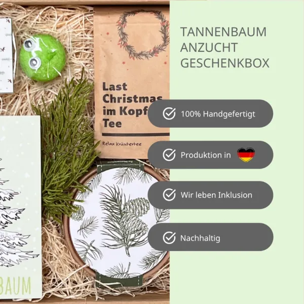 Christbaum Anzucht Geschenk