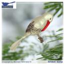 Storch