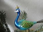 Großer Pfau, blau